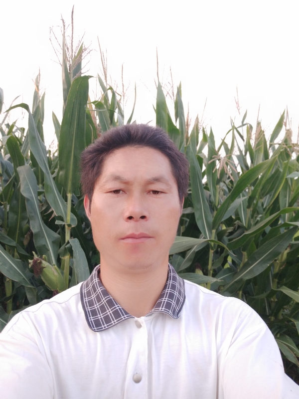 四海游龙的第二张照片--贵港相亲服务中心